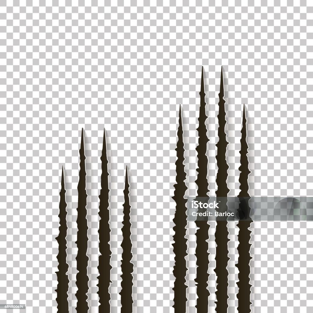 Claws scratches - vector isolated. Claws scratching animal cat, tiger, lion, bear illustration Claws scratches - vector isolated on transparent background. Claws scratching animal cat, dog, tiger, lion, bear illustration. Can be used for decoration, as design element at printing, textile Claw Mark stock vector