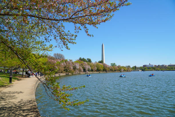istock Beautiful Tidal Basin in Washington - WASHINGTON DC - COLUMBIA - APRIL 7, 2017 684807406