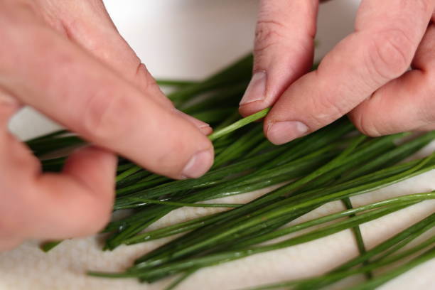 istock Chef sorting of chives. Making Potato and Leek Filo Pie. Series. 684810832