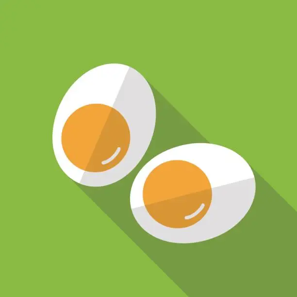 Vector illustration of two egg slice, flat icon design, vector illustration