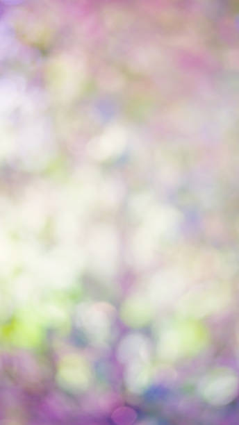 istock pastel bokeh defocused lights for a background. 684817326