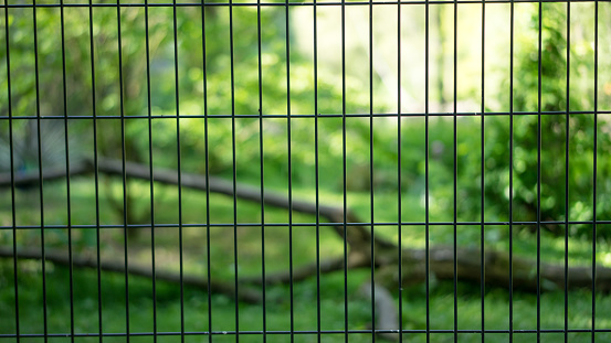 Fence around enclosure