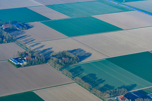 Drone image of yellow oilseed rape fields in Central Europe. Development of bioeconomy and bio-based industries