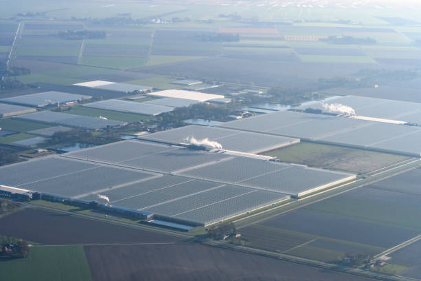 istock Greenhouses in a row seen from above with smoking chimneys 684833042
