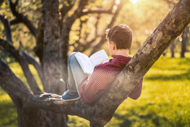 istock Cute boy reading a book sitting in the park at sunset 684837306