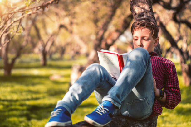 istock Cute boy reading a book sitting in the park at sunset 684837314