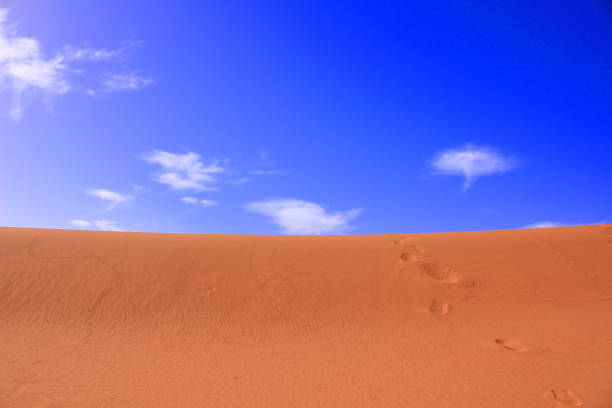 Two girls, one a toddler, standing on top of a sand dune after hiking top the top of Dune 7 at Walvis Bay Swakopmund with a cloud backdrop copy space Namibia Africa