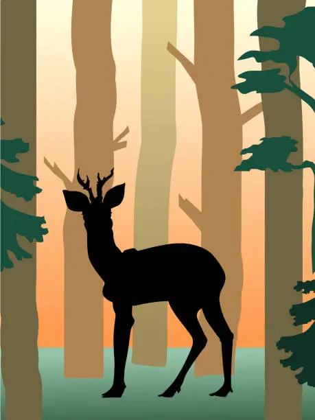 Vector illustration of roedeer in the forest