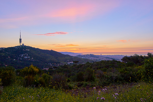 Barcelona's sunrise in May, from Colserola's mountains. Looking towards Tibidabo mountain. Badalona in further part of the image.