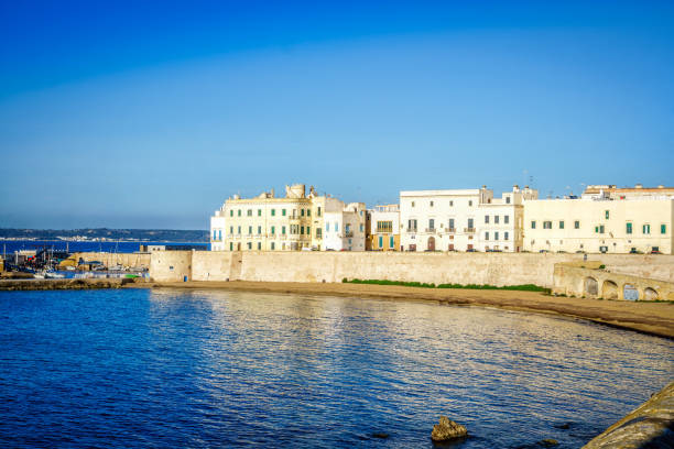 istock Panorama of beautiful Gallipoli, Italy 684880000