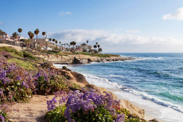 ラ ・ ホーヤ - 南カリフォルニア、アメリカ合衆国 - california san diego california beach coastline ストックフォトと画像