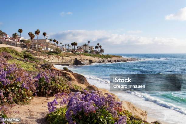 La Jolla Southern California United States Of America Stock Photo - Download Image Now