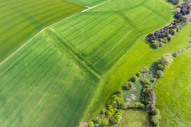 istock Agricultural area - aerial view 684897308