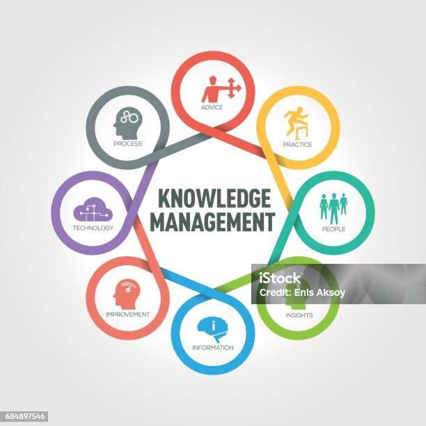 Knowledge Management Infographic With 8 Steps Parts Options Stock Illustration - Download Image Now