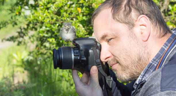 bird and photographer
