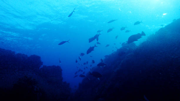 istock Valley of the Big Fish 684928344