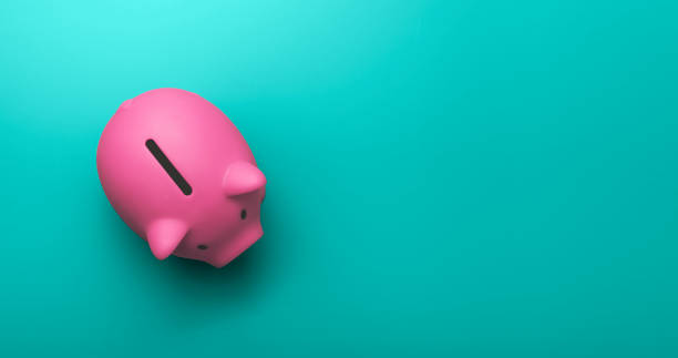 Financial header image Hero header with piggy bank netherlands currency stock illustrations