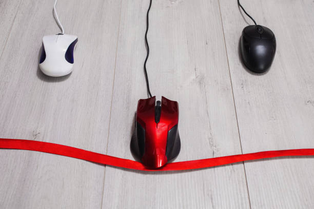 Mouse Running Track 290+ Mouse Tracks Pictures Stock Photos, Pictures & Royalty-Free Images ...