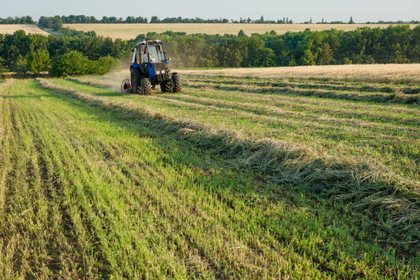 istock Tractor working on the farm field 684936686