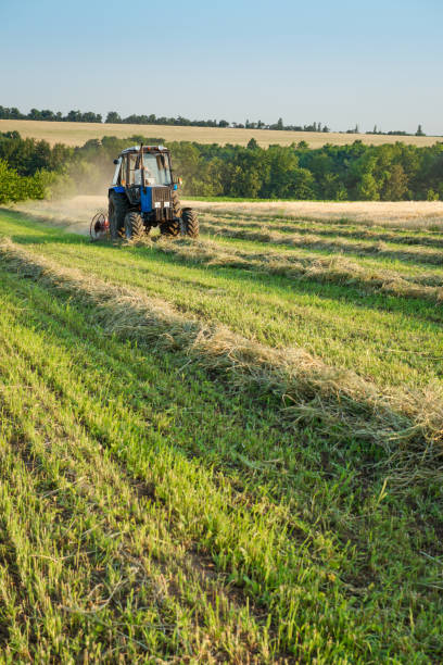 istock Tractor working on the farm field 684936690