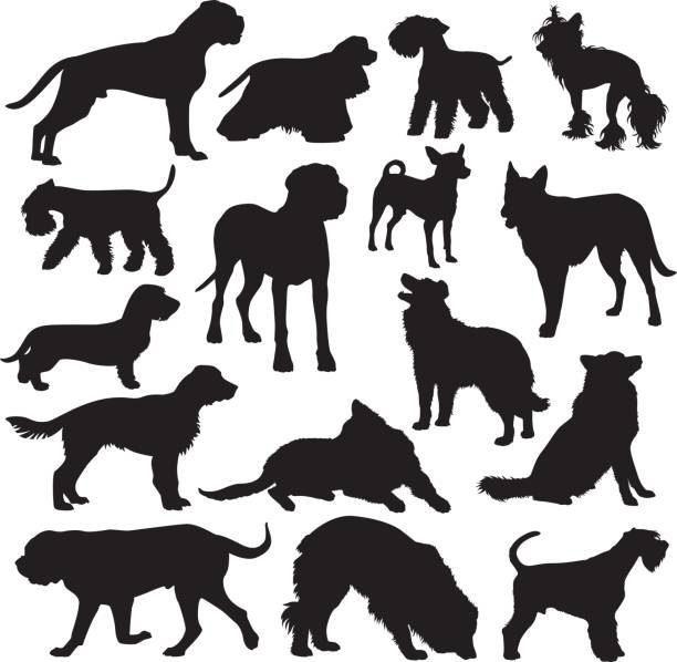 Dog Breeds Silhouette Set Vector silhouettes of dogs of different breeds. bloodhound stock illustrations