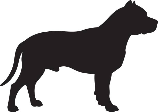 斯塔福郡鬥牛梗狗向量剪影 - 比特犬 幅插畫檔、美工圖案、卡通及圖標