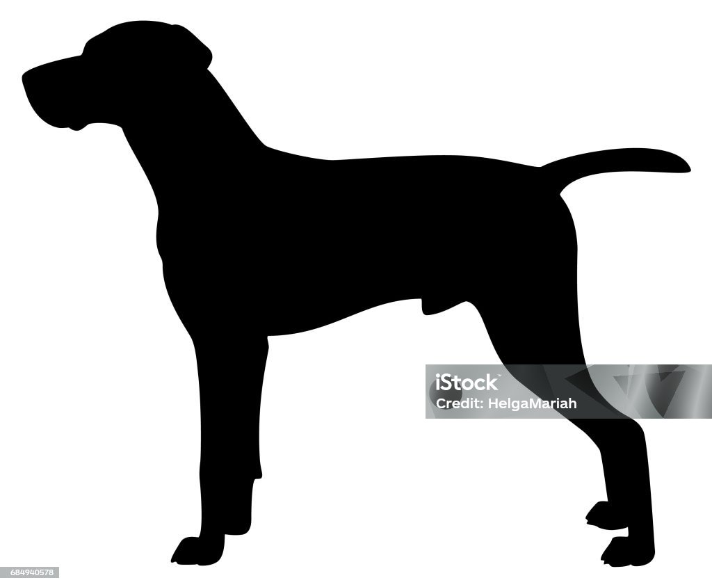 Viszla Purebred Dog Vector Silhouette Vector silhouette of a HungarianViszla isolated on white In Silhouette stock illustration