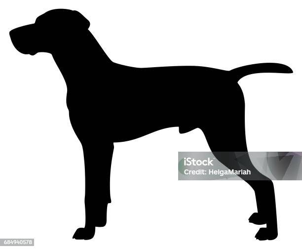 Viszla Purebred Dog Vector Silhouette Stock Illustration - Download Image Now - In Silhouette, Vizsla, Cut Out