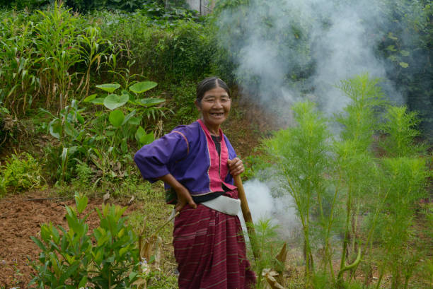 campesinos de myanmar en su trabajo - inle lake agriculture traditional culture farmer fotografías e imágenes de stock