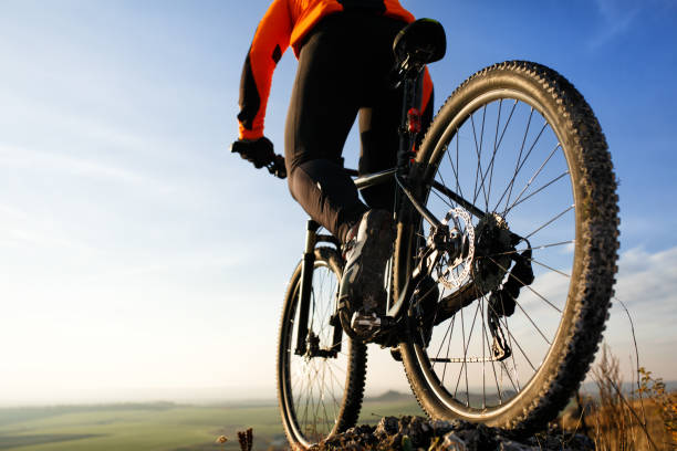 istock back view of a man with bicycle against the sky 684947452