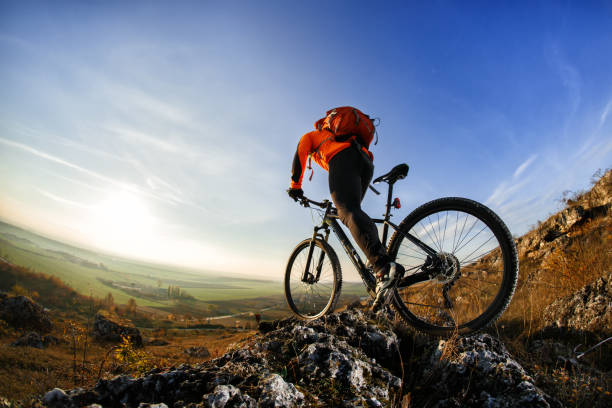istock back view of a man with bicycle against the sky 684947506