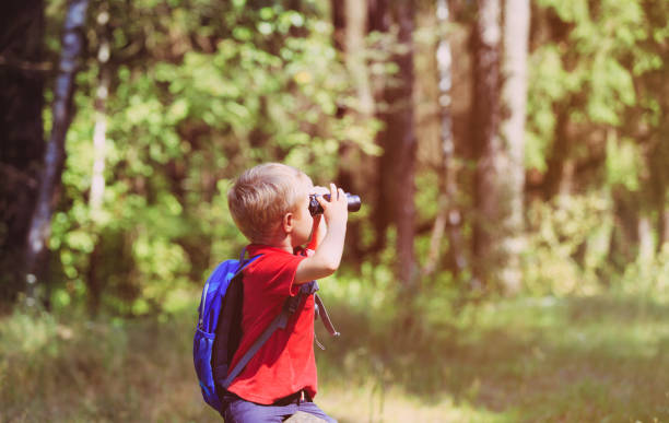 istock little boy travel in nature looking through binoculars 684952434