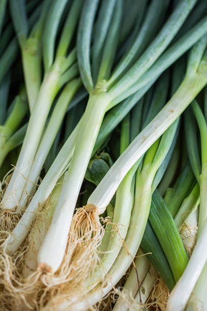 istock fresh green leek closeup on the market 684954874