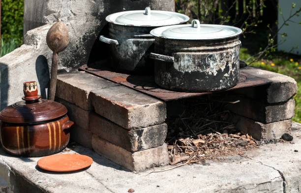 старые обожженные эмалированные тарелки сажи - sooty tern стоковые фото и изображения