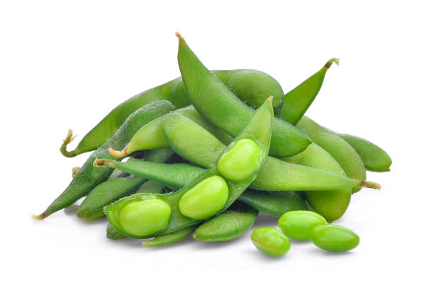 edamame beans isolated on white background - edamame imagens e fotografias de stock