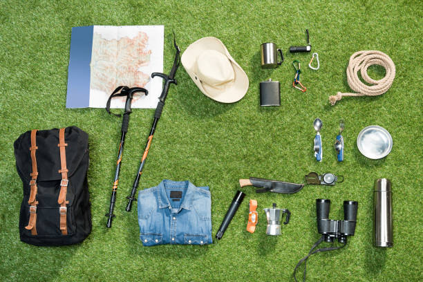 istock Traveler set on grassy background, flat lay 684962784