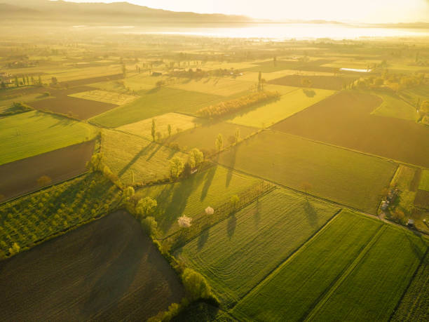 istock Sunrise in Tuscany 684962822