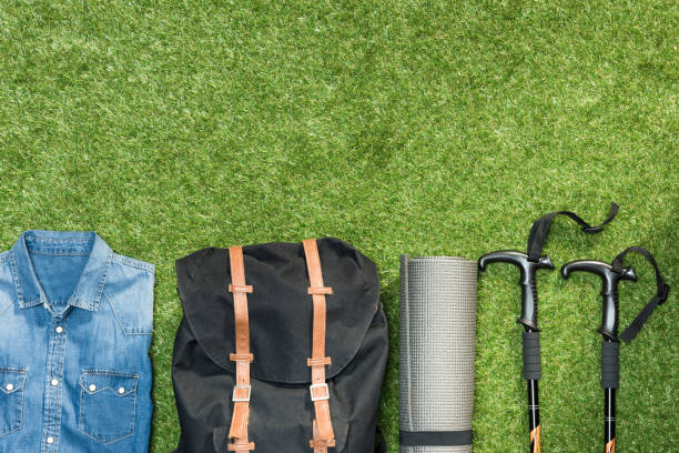 istock Traveler set on grassy background, flat lay 684973540