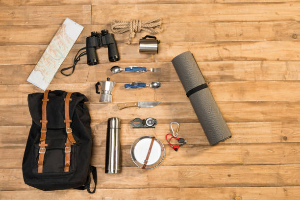 istock Traveler set on wooden background, flat lay 684977654