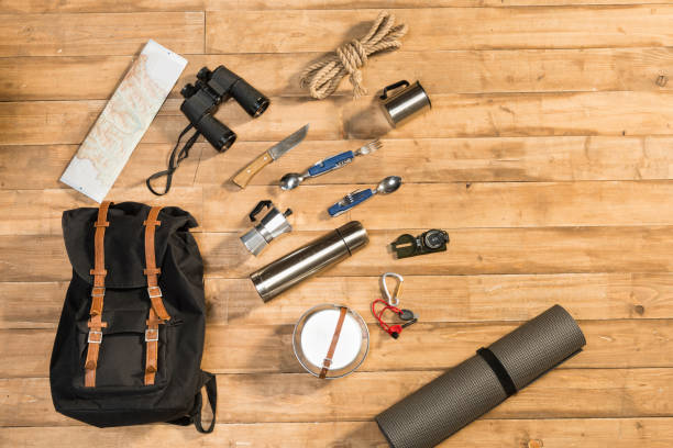 istock Traveler set on wooden background, flat lay 684983546