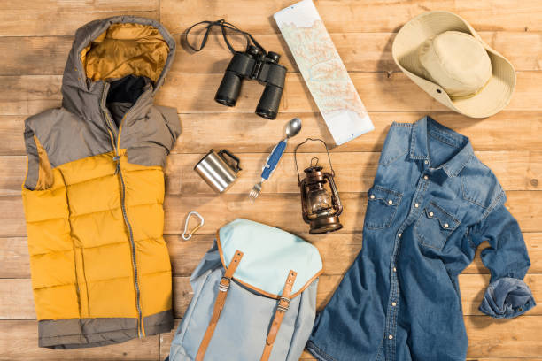 istock Traveler set on wooden background, flat lay 684983764