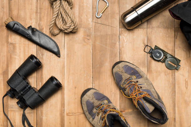 istock Traveler set on wooden background, flat lay 684984650