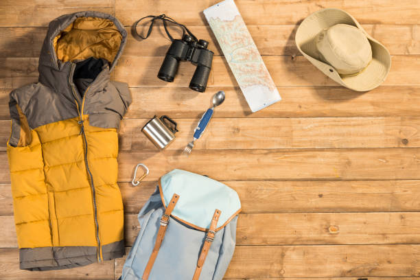 istock Traveler set on wooden background, flat lay 684987520