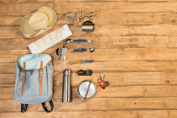 istock Traveler set on wooden background, flat lay 684990328