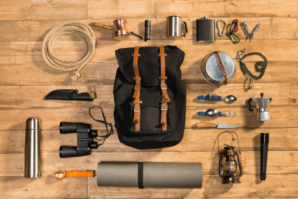 istock Traveler set on wooden background, flat lay 684990366