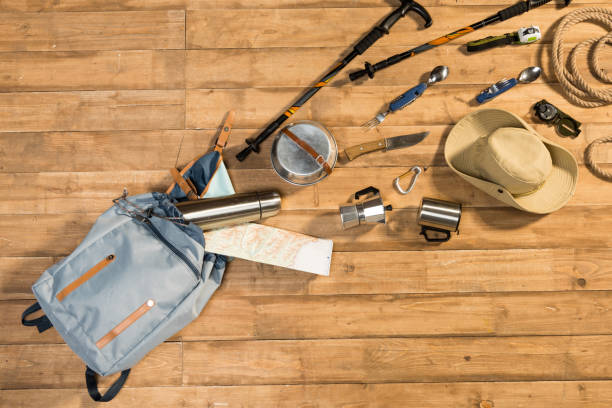 istock Traveler set on wooden background, flat lay 684990490