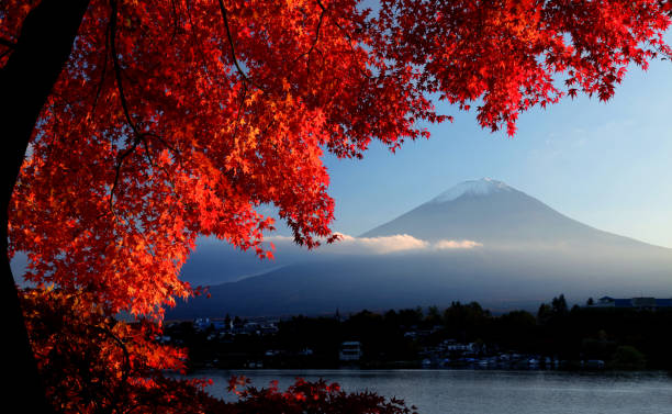富士山の秋 - volcano mt fuji autumn lake ストックフォトと画像