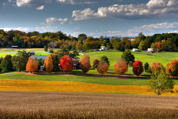 istock Pasture of Color 685002900