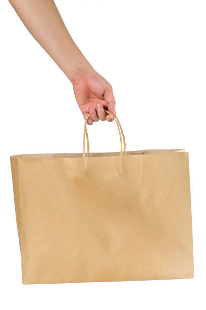 istock Hand holding a blank brown shopping bag isolated on white background. 685013224
