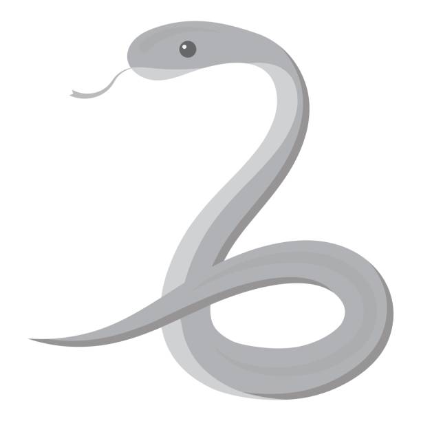 istock Snake icon monochrome. Singe animal icon from the big animals monochrome. 685019060